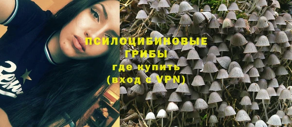 ешки Надым