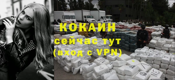 ешки Надым