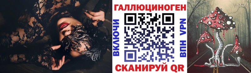 ссылка на мегу зеркало  Щёкино  Псилоцибиновые грибы Psilocybe 