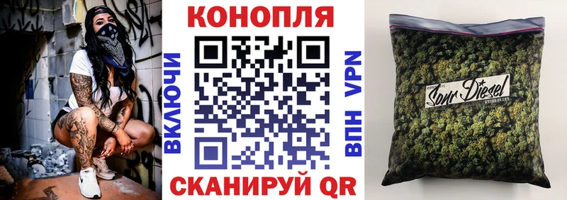 Бошки Шишки планчик Щёкино